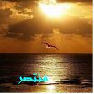 إضغط لترى الصوره كامله